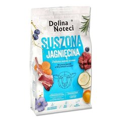 Dolina Noteci Premium ar žāvētu jēra gaļu, 9 kg cena un informācija | Sausā barība suņiem | 220.lv