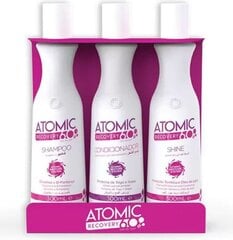 Šampūns un kondicionieris Atomic Recovery 60 s Kit, Leave-in Shine cena un informācija | Šampūni | 220.lv