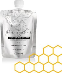 Balinošs matu krēms Blond Elevation, 250 g cena un informācija | Matu krāsas | 220.lv