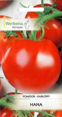 Семена помидоры ХАНА цена и информация | Семена овощей, ягод | 220.lv