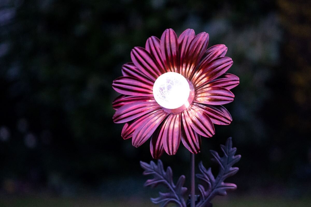 Dārza piederums "Red Daisy" ar saules lampu cena un informācija | Dārza dekori | 220.lv