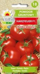 Tomāti Harzfeuer cena un informācija | Dārzeņu, ogu sēklas | 220.lv