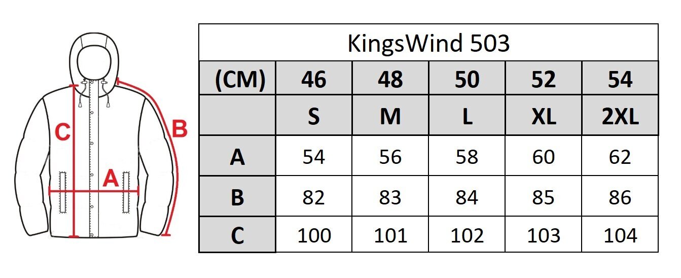 Virsjaka vīriešiem Kings Wind 503 cena un informācija | Vīriešu virsjakas | 220.lv
