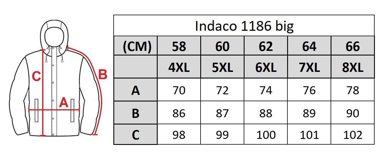 Virsjaka vīriešiem Indaco 1186 цена и информация | Vīriešu virsjakas | 220.lv