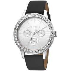 Женские часы Esprit ES1L138L0015 цена и информация | Женские часы | 220.lv