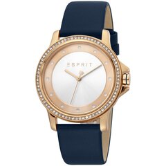 Женские часы Esprit ES1L143L0045 цена и информация | Женские часы | 220.lv