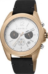 Мужские часы Esprit ES1G159L0035 цена и информация | Мужские часы | 220.lv