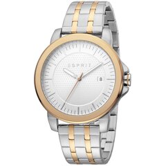 Мужские часы Esprit ES1G160M0085 цена и информация | Мужские часы | 220.lv