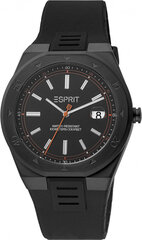 Мужские часы Esprit ES1G305P0085 цена и информация | Мужские часы | 220.lv