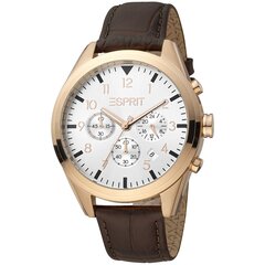 Мужские часы Esprit ES1G339L0045 цена и информация | Мужские часы | 220.lv