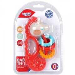 Sensorā rotaļlieta 2in1 Woopie цена и информация | Игрушки для малышей | 220.lv