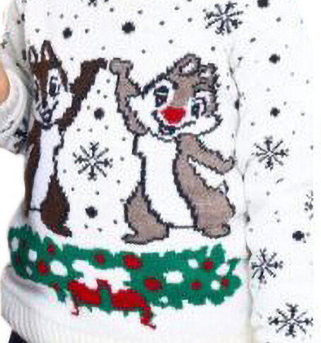 Ziemassvētku džemperis bērniem, balts цена и информация | Zēnu jakas, džemperi, žaketes, vestes | 220.lv