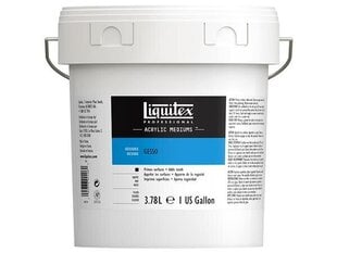 Grunts Liquitex Gesso, 3.78l, balta cena un informācija | Modelēšanas un zīmēšanas piederumi | 220.lv