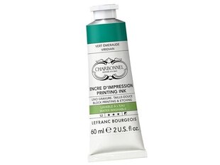 Drukas tinte LB Charbonnel Aqua Wash 529 emerald green, 60ml, zaļa цена и информация | Принадлежности для рисования, лепки | 220.lv