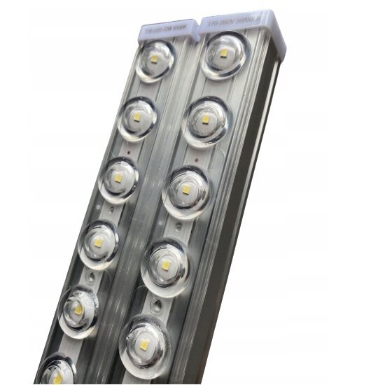 LED spuldze, 60 cm, 60 W, 6500K cena un informācija | Griestu lampas | 220.lv