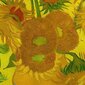 Reprodukcija Vinsents van Gogs Saulespuķes (1889) cena un informācija | Gleznas | 220.lv