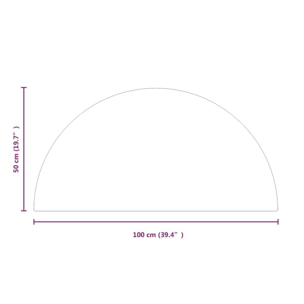 Kamīna plāksne vidaXL, 1000x500 mm cena un informācija | Kamīnu un krāšņu aksesuāri | 220.lv