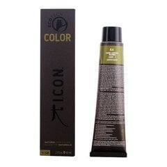 Перманентная краска Ecotech Color I.c.o.n., 60 мл цена и информация | Карнавальные костюмы, парики и маски | 220.lv