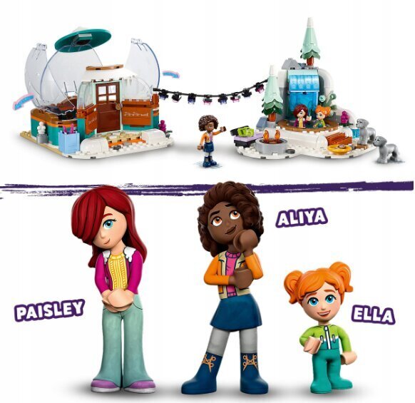 41760 Lego Friends un plīša spilvena kaķis, 491 gab. цена и информация | Konstruktori | 220.lv