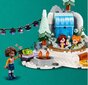 41760 Lego Friends un plīša spilvena kaķis, 491 gab. цена и информация | Konstruktori | 220.lv