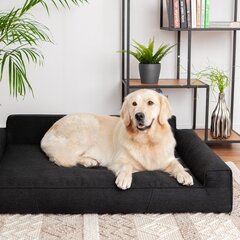 Guļvieta Doggy Glamour, L 78x53 cm, melna цена и информация | Лежаки, домики | 220.lv