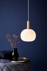 Nordlux подвесной светильник Alton 60W,  47313001 цена и информация | Люстры | 220.lv