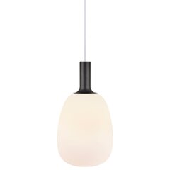 Nordlux подвесной светильник Alton 60W,  47303001 цена и информация | Настенный/подвесной светильник Eye Spot 11 BL, чёрный | 220.lv