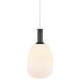 Nordlux piekaramā lampa Alton 47303001