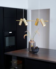 Nordlux piekaramā lampa Alanis 2213423035 cena un informācija | Lustras | 220.lv