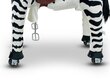 Šūpojošā rotaļlieta Zebra My Pony, 3-6g. цена и информация | Rotaļlietas zīdaiņiem | 220.lv