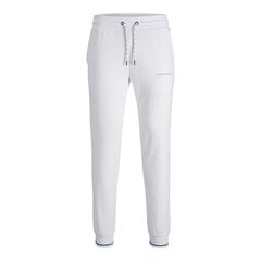 Спортивные штаны для взрослых Jack & Jones JPSTGORDON JJGLOBUS  12225105  Белый Мужской цена и информация | Мужская спортивная одежда | 220.lv