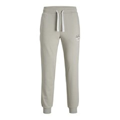 Спортивные штаны для взрослых Jack & Jones JPSTGORDON 12225078 Зеленый Мужской цена и информация | Мужская спортивная одежда | 220.lv