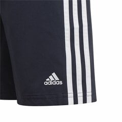 Спортивные шорты для мальчиков Training Adidas  Essentials  Темно-синий цена и информация | Zēnu šorti | 220.lv