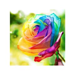 Набор алмазной мозаики "Разноцветная роза" цена и информация | Алмазная мозаика | 220.lv