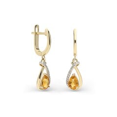 Zelta auskari ar briljantu Gold Diamonds sievietēm W61430368 1000000003652 cena un informācija | Auskari | 220.lv
