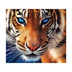 Набор алмазной мозаики "Тигр" цена и информация | Алмазная мозаика | 220.lv