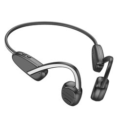 Borofone Sports earphones BE62 Receptive bluetooth grey цена и информация | Наушники | 220.lv