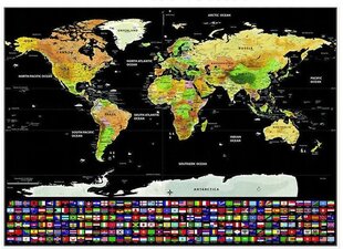 Pasaules karte ar karodziņiem, 82 x 59 cm цена и информация | Карты мира | 220.lv