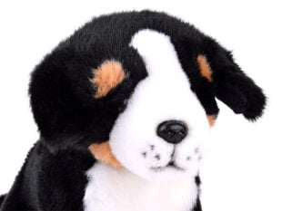 Plīša rotaļlieta Bernes kalnu suns, 20 cm cena un informācija | Mīkstās (plīša) rotaļlietas | 220.lv
