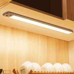 Аккумуляторная светодиодная лампа с датчиком движения Modux цена и информация | Монтируемые светильники, светодиодные панели | 220.lv