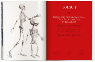 Bourgery. Atlas of Human Anatomy and Surgery XL cena un informācija | Enciklopēdijas, uzziņu literatūra | 220.lv