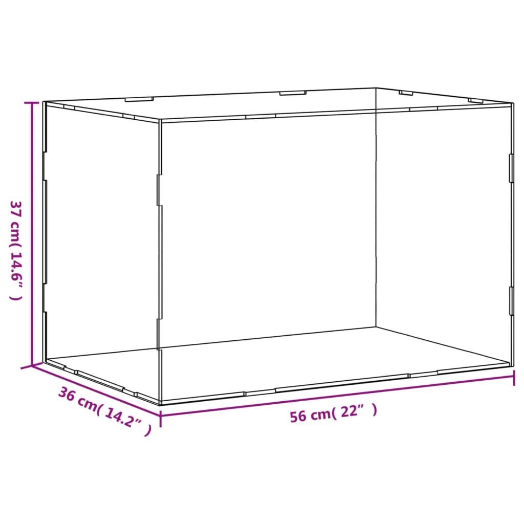 Vitrīnas kaste vidaXL, 56x36x37 cm, caurspīdīga cena un informācija | Veļas grozi un mantu uzglabāšanas kastes | 220.lv