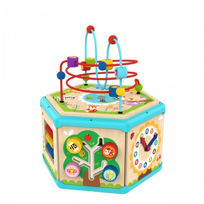 Interaktīvā koka sešstūra kaste Tooky Toy цена и информация | Rotaļlietas zīdaiņiem | 220.lv