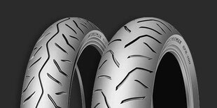 Dunlop Gpr 100 m cena un informācija | Ziemas riepas | 220.lv