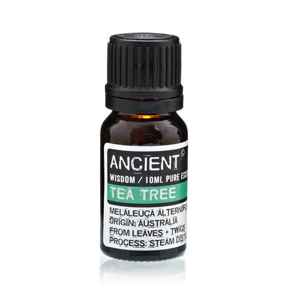 Ēteriskā eļļa Ancient Wisdom Melaleuca Alternifolia, 10 ml cena un informācija | Ēteriskās eļļas, kosmētiskās eļļas, hidrolāti | 220.lv