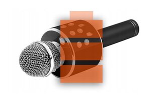 Bluetooth караоке-микрофон с LED-подсветкой Manta, черный цена и информация | Развивающие игрушки | 220.lv