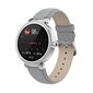 Denver SWC-342 Grey cena un informācija | Viedpulksteņi (smartwatch) | 220.lv