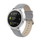 Denver SWC-342 Grey цена и информация | Viedpulksteņi (smartwatch) | 220.lv