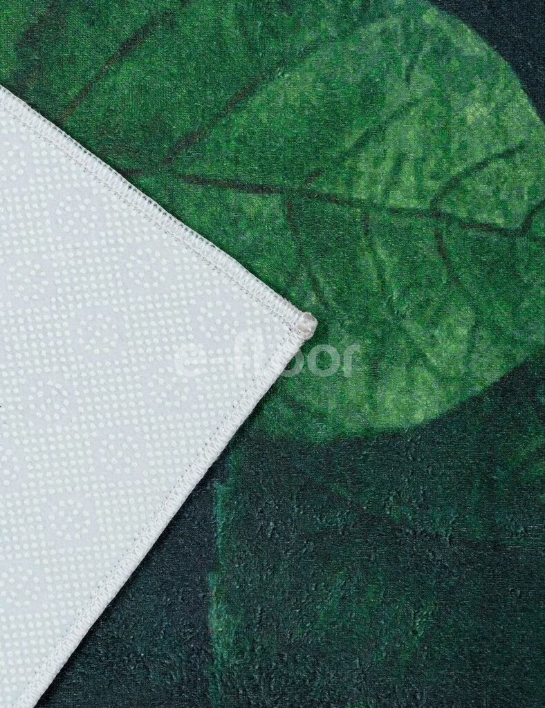 Glamour Renat 80x150cm augu zaļš paklājs cena un informācija | Paklāji | 220.lv