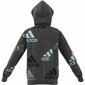 Džemperis zēniem Adidas, pelēks цена и информация | Zēnu jakas, džemperi, žaketes, vestes | 220.lv